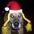 Zena Lange's profile image