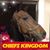 Jane Raplinger-Stein's profile image