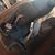 Humberto Quiroz Jr.'s profile image