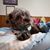Deb Pallo's profile image