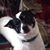 Brenda Fairchild's profile image
