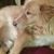 Carol Seritt's profile image