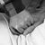 Teri Shackelford's profile image