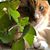 Sarah Camille's profile image