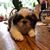 Elvira Lazzaro Mason's profile image