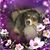 Jo Lynne Gardner's profile image