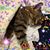 Linda Sturgill Grant's profile image