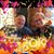 Cindy Edholm Strickland's profile image