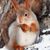 Terry Black's profile image