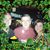 Miriam Keenaghan Shiel's profile image