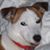 Rae Bagy's profile image