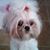 Jannie Webb's profile image