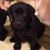 Jennifer Warren Witt's profile image