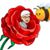 Lee Ames's profile image