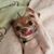 Jen Snyder's profile image
