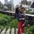 Maegan Woodin's profile image