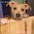 Sarah Phim's profile image