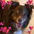 Suzanne Welsh's profile image