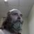 James Pittman's profile image