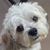 Fran Cook McCannon's profile image