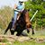 Sheryl Lynn Siglin Weiser's profile image
