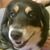 Marilyn McCracken's profile image