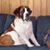 Connie McKenzie's profile image