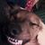 Maud Gibo's profile image