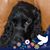 Helen Murphy's profile image