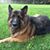 Staci Case Circello's profile image