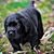 Mark Rothe's profile image