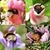 Lynetta Karlson's profile image