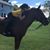 Danielle Messore's profile image