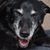 Jaime Alexis Stathis's profile image