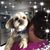 Cristina Sandoval's profile image