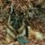Rena Berry Greenway's profile image