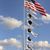 Fred C Ellenburg's profile image