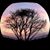 Kimberly Pajak's profile image