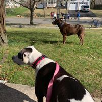 Marcie Colucci's profile image