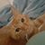 Sandy Cullinan's profile image