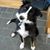 Marcia Andres's profile image