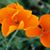 Lynette Hartwell's profile image