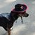 Mike Lori Parrish's profile image