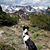 Michelle Johnson-Carrell's profile image