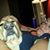 Starr Lawton's profile image