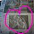 Alyson Adams Easter's profile image