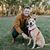 Tyler Layton Welker's profile image