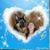 Melinda Arakelian's profile image