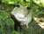 Lori H.'s profile image