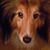 Elizabeth Wilhelm's profile image